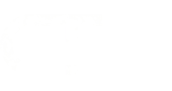 GT Solutions
